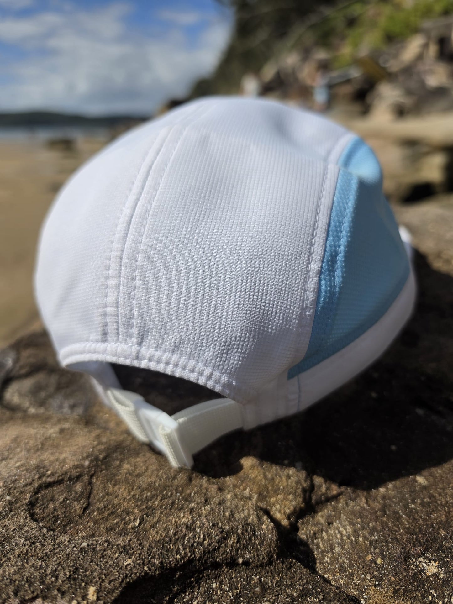 Blue & White Fly Cap