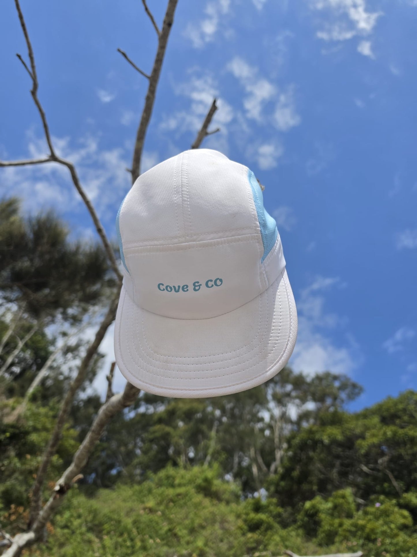 Blue & White Fly Cap